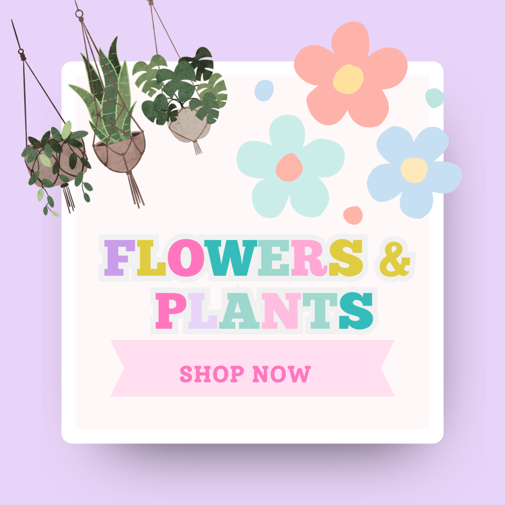 Flower and Plants