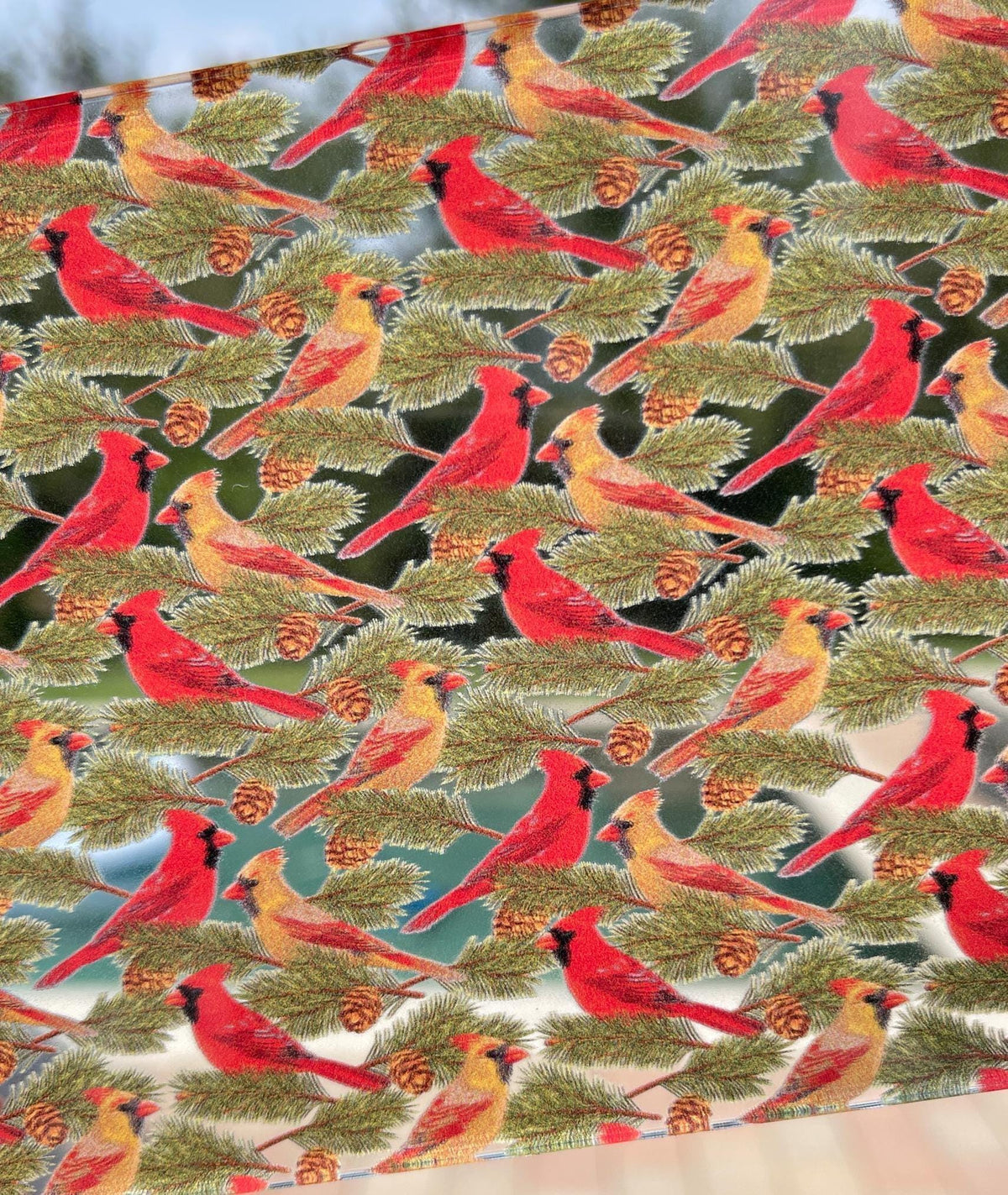 Christmas Cardinal UV Printed Clear Core Acrylic Sheet for Laser Cutting