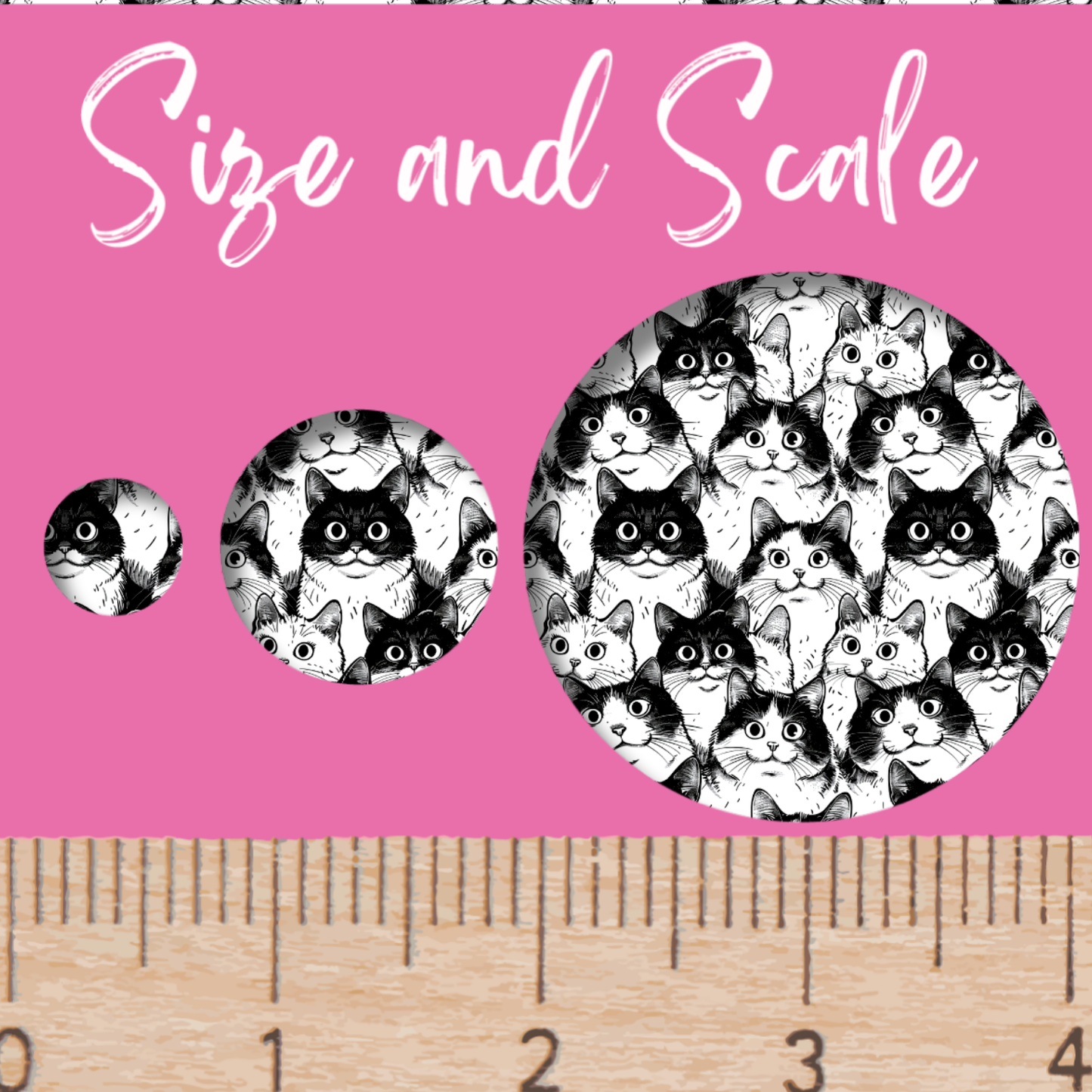 Black and White Cats