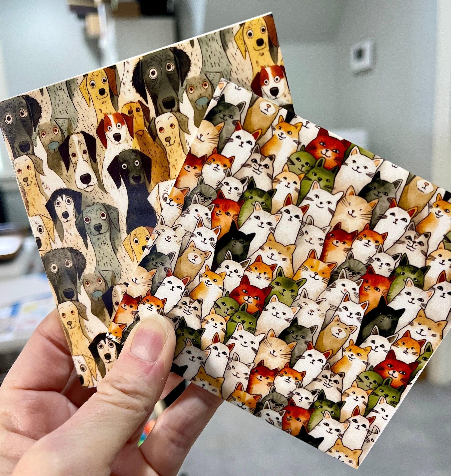 Bright Cats and Kittens Patterned Cast Acrylic, Flex and Wood for Lasers